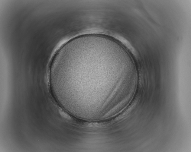 X0000111121366200907141142