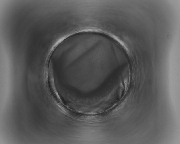 X0000111121367200907141142