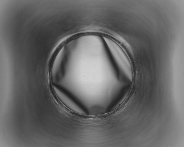 X0000111121368200907141142