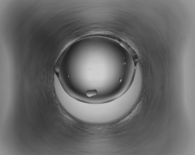 X0000111121369200907141142