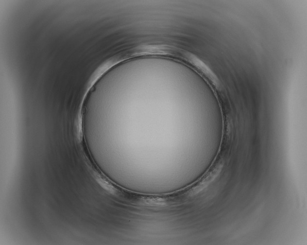 X0000111121370200907141142