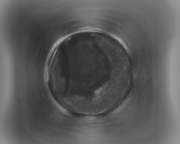 X0000111121371200907141142