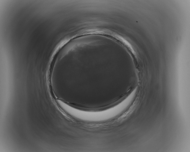 X0000111121373200907141142