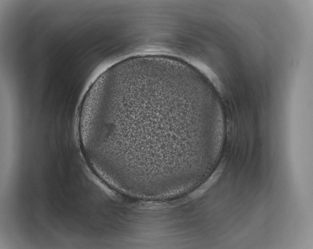 X0000111121374200907141142