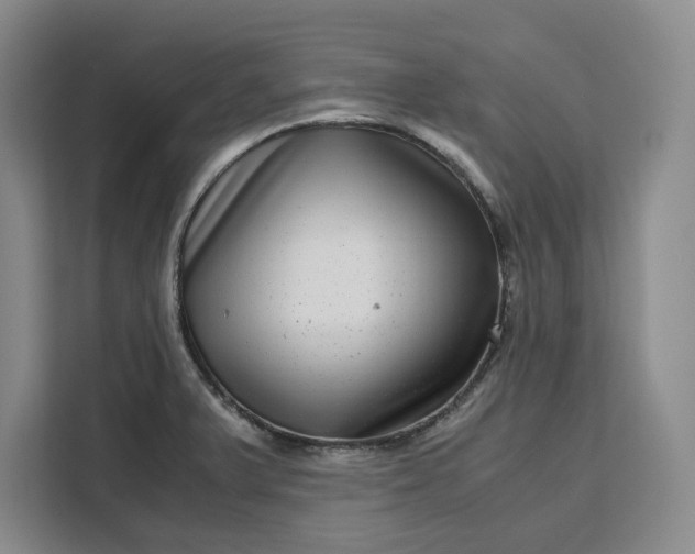 X0000111121375200907141142