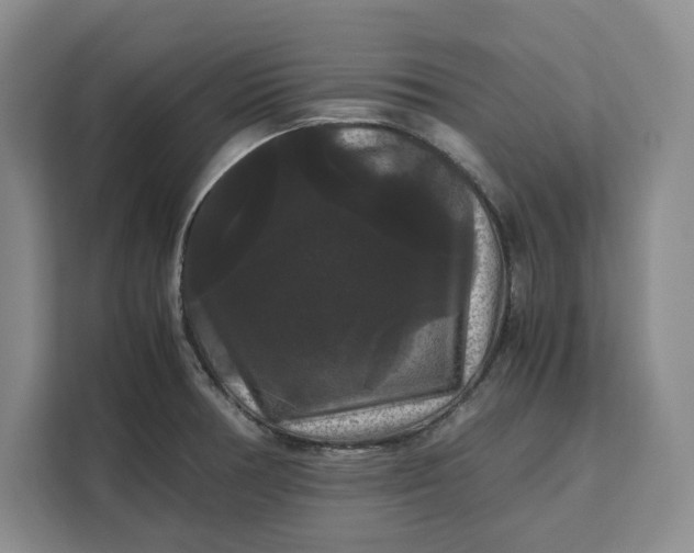 X0000111121378200907141142