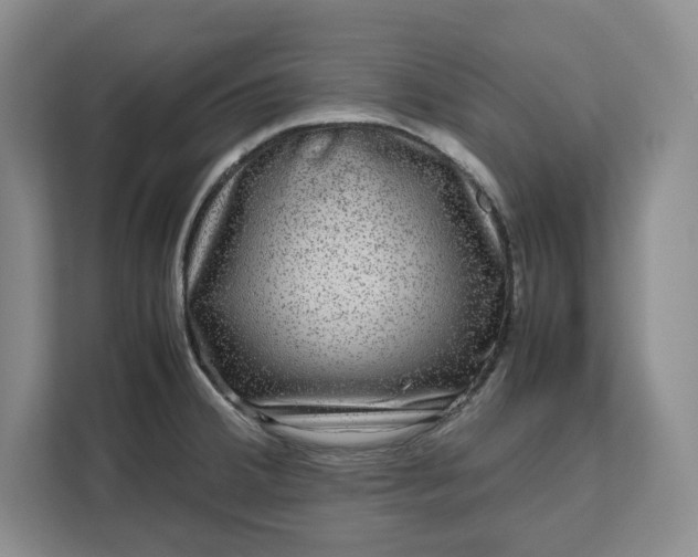 X0000111121380200907141142