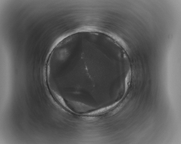 X0000111121382200907141142