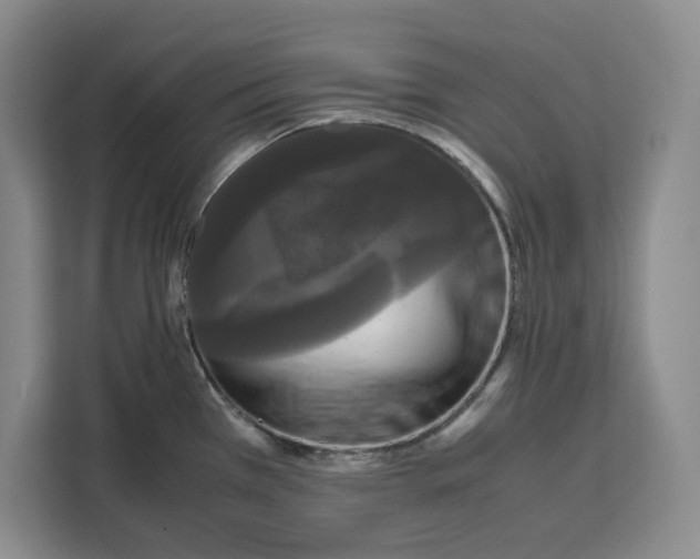 X0000111121385200907141142