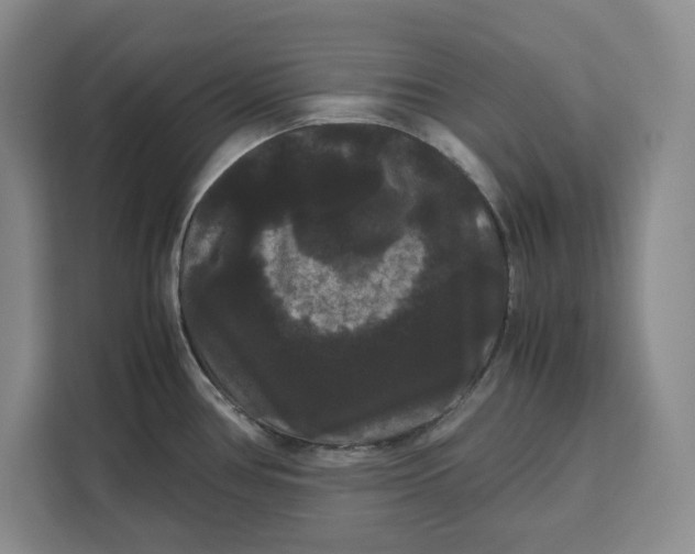 X0000111121386200907141142