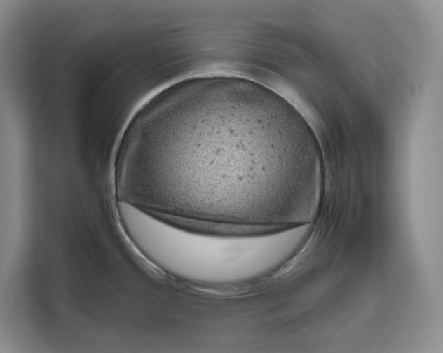 X0000111121388200907141142