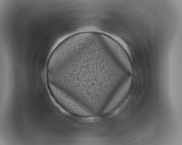 X0000111121390200907141142