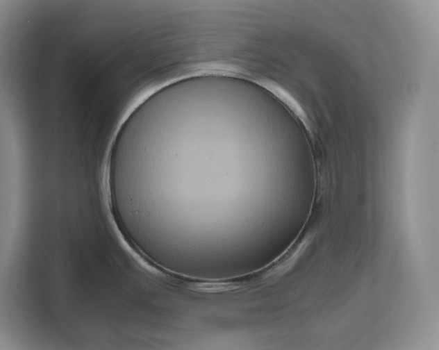 X0000111121391200907141142