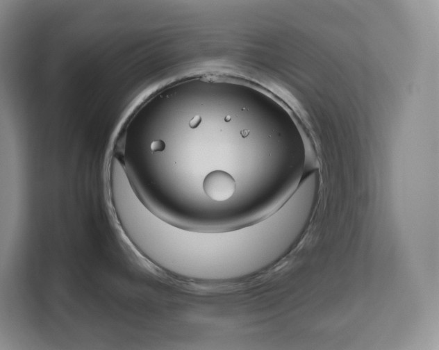 X0000111121392200907141142