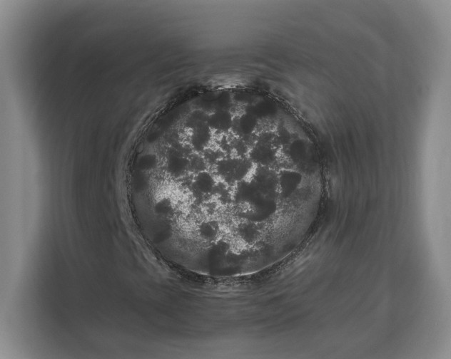 X0000111121393200907141141