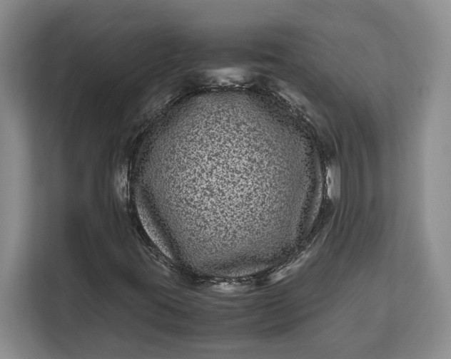 X0000111121395200907141141