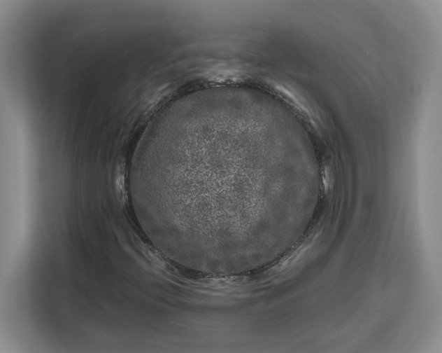 X0000111121396200907141141