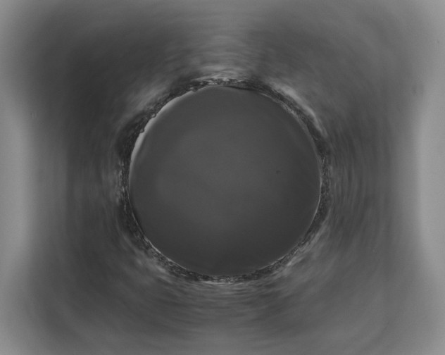 X0000111121399200907141141