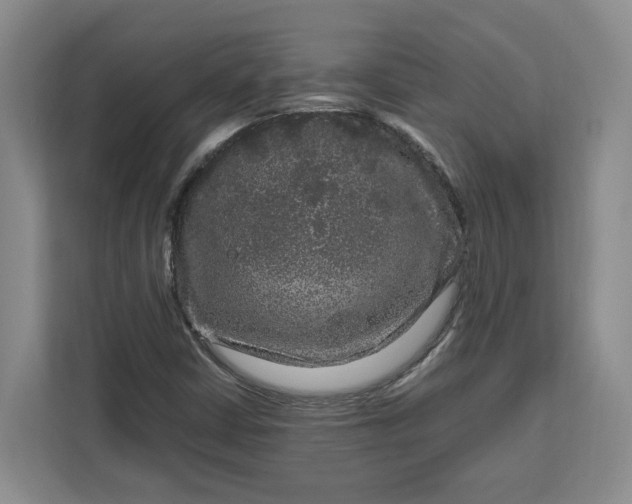 X0000111121402200907141141