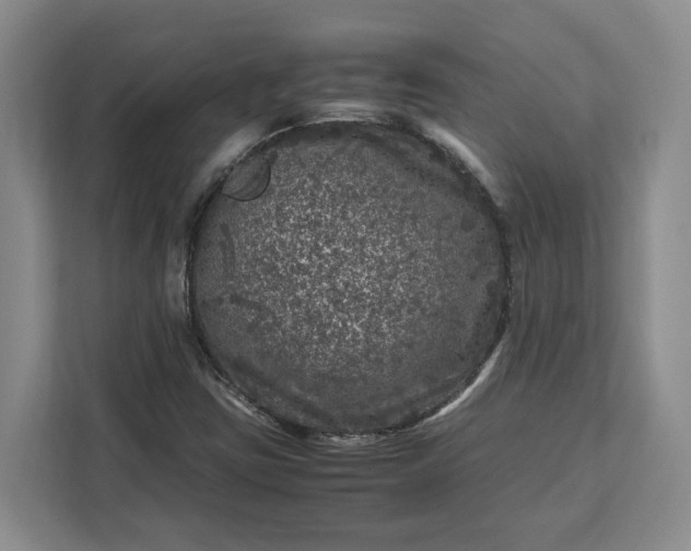 X0000111121403200907141141