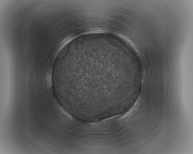 X0000111121409200907141141