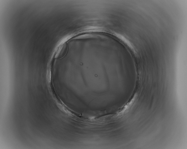 X0000111121413200907141141