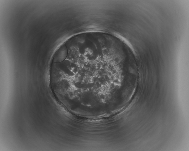 X0000111121415200907141141