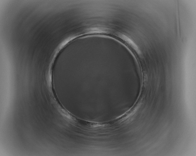 X0000111121419200907141142