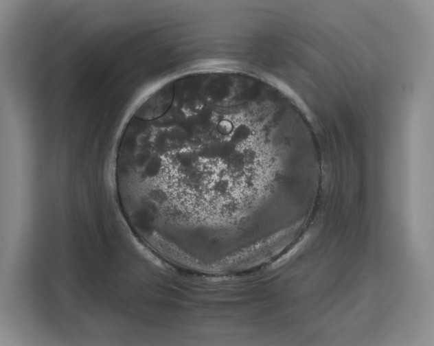 X0000111121421200907141142