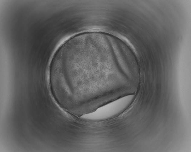 X0000111121424200907141142