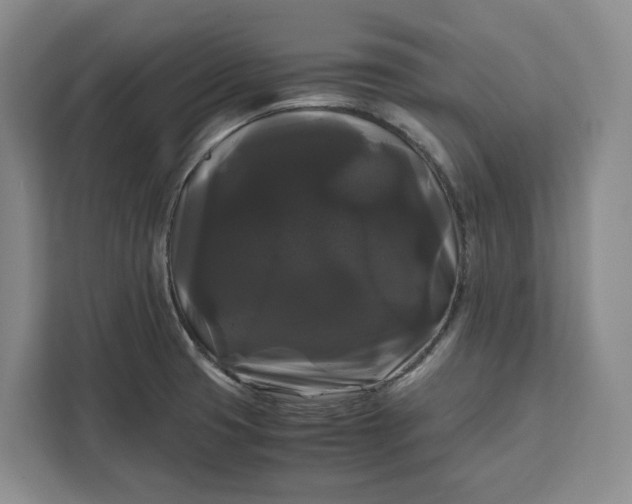 X0000111121425200907141142