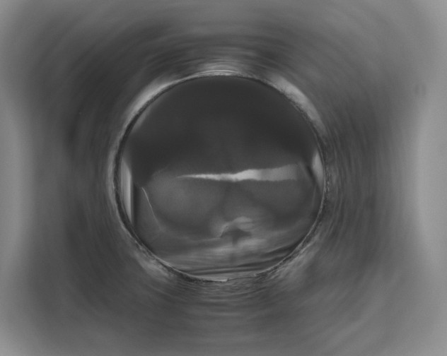 X0000111121427200907141142