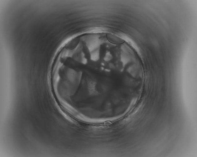 X0000111121429200907141142