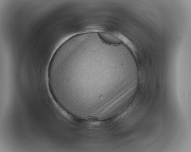 X0000111121431200907141142