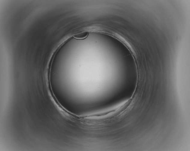 X0000111121434200907141142