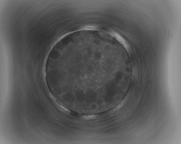 X0000111121435200907141142