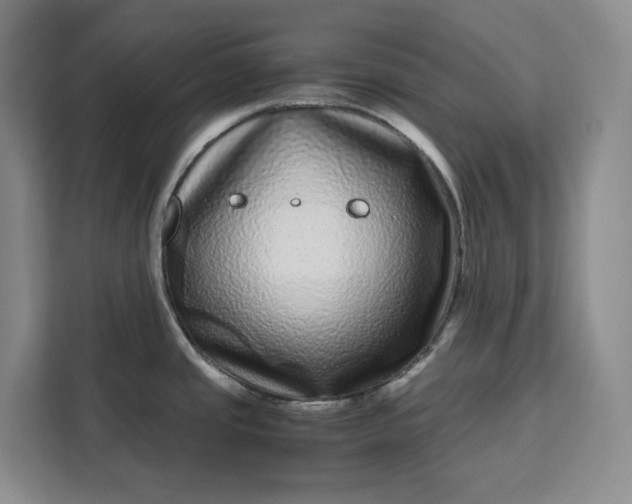 X0000111121437200907141142