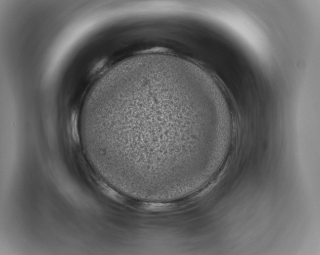 X0000111121439200907141142