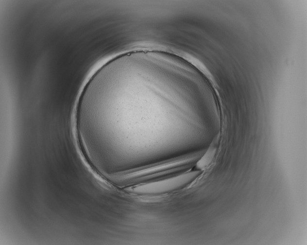 X0000111121440200907141142