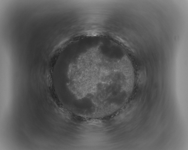 X0000111121446200907141141