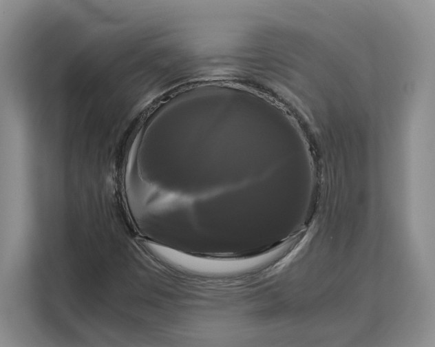 X0000111121449200907141141