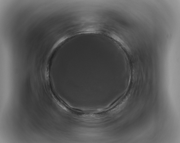 X0000111121450200907141141