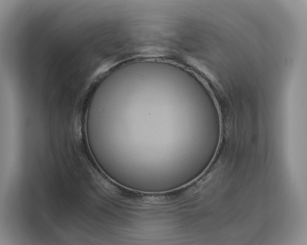 X0000111121451200907141141