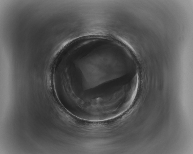 X0000111121455200907141141