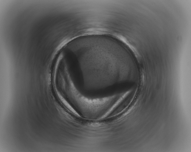 X0000111121459200907141141