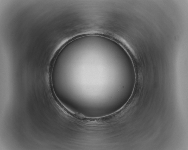 X0000111121460200907141141