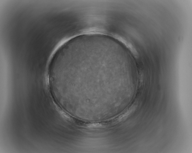 X0000111121462200907141141