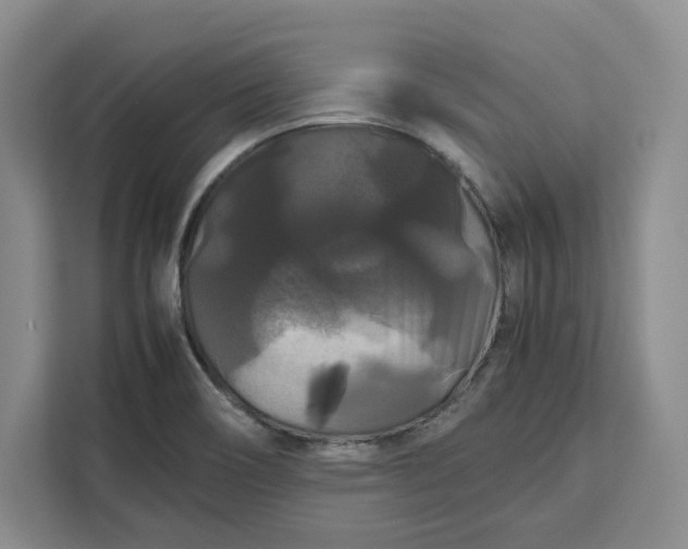 X0000111121466200907141141