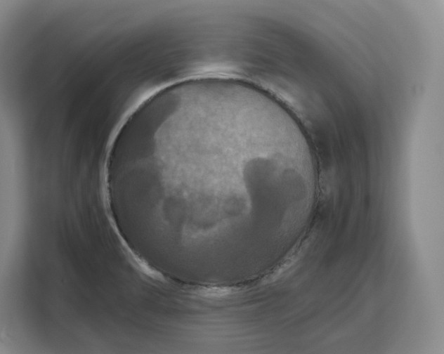 X0000111121470200907141141