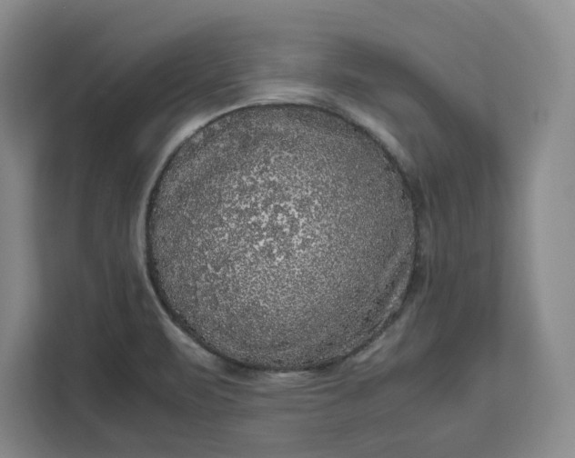 X0000111121471200907141141